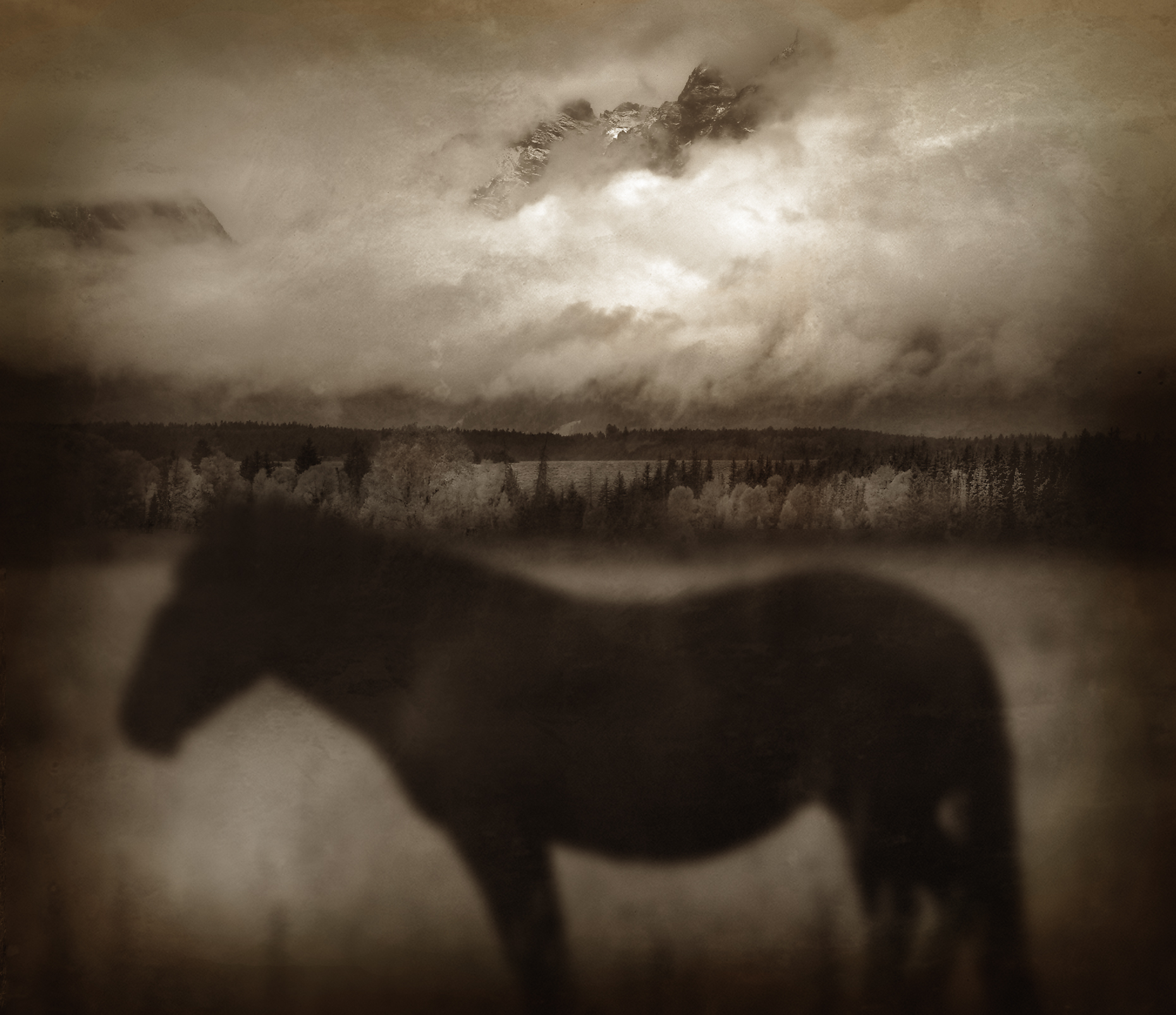 "Dark Horse", Wyoming