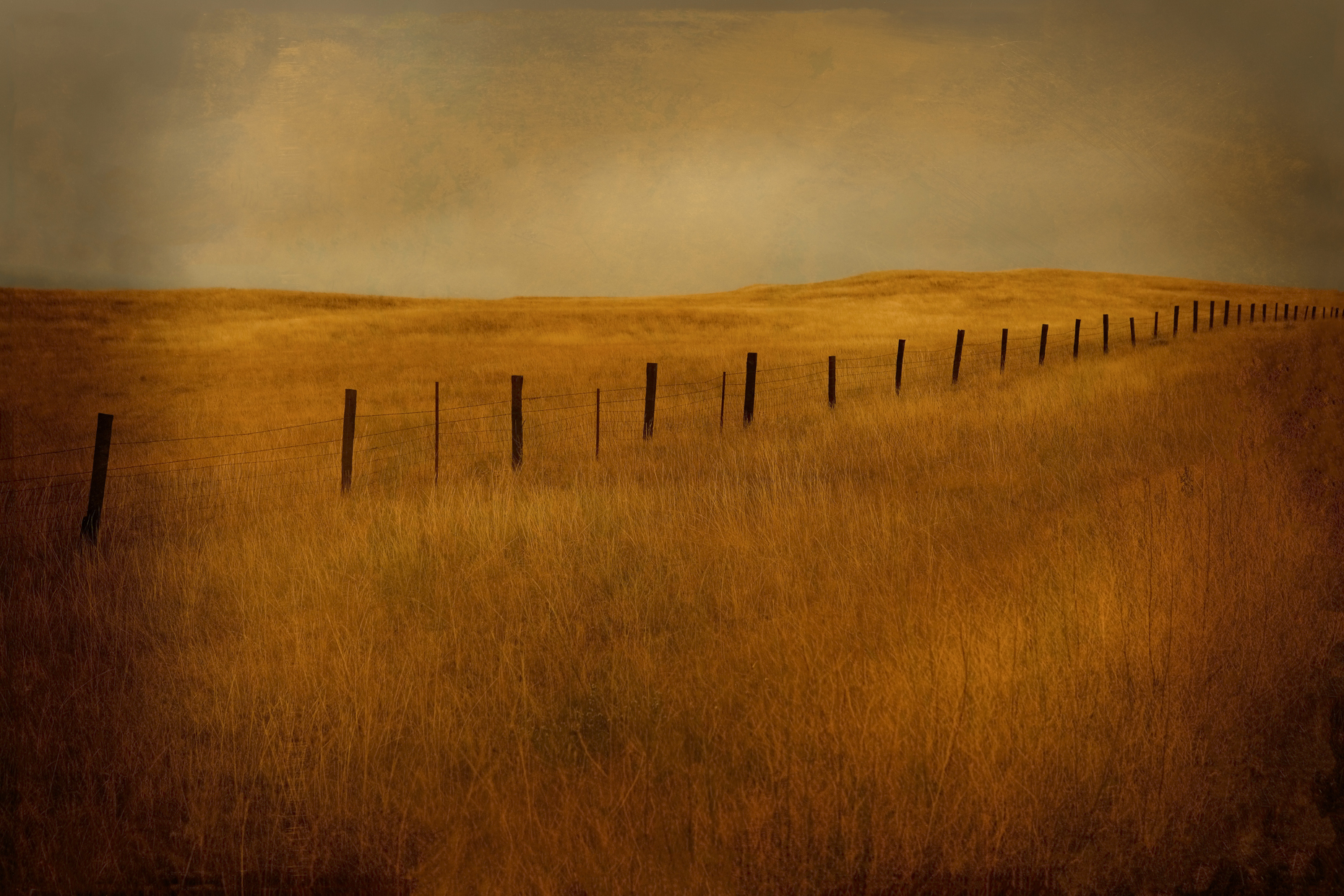 "Fence Line" Montana