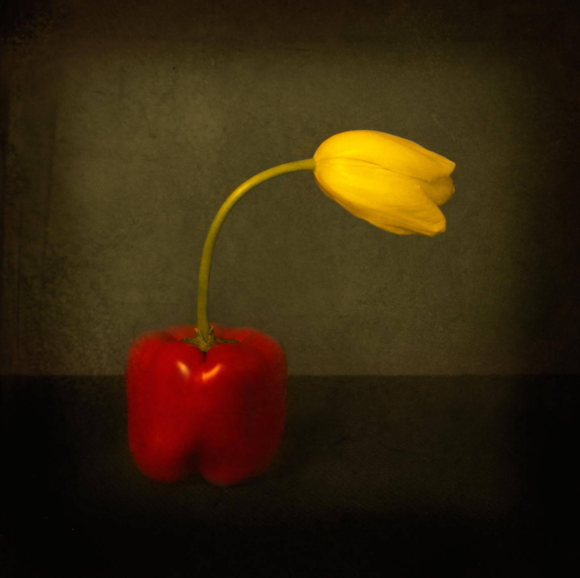 Pepper Tulip